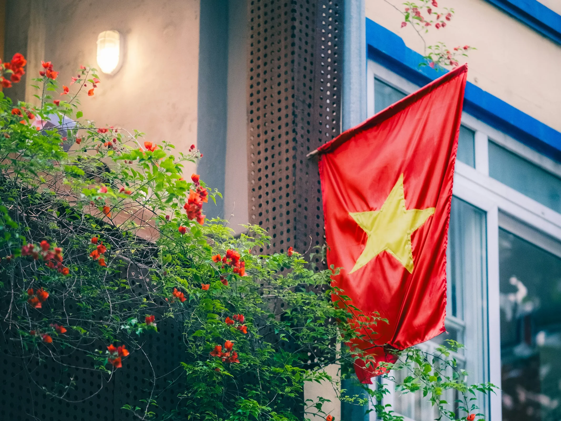 Vietnam by Chris Do