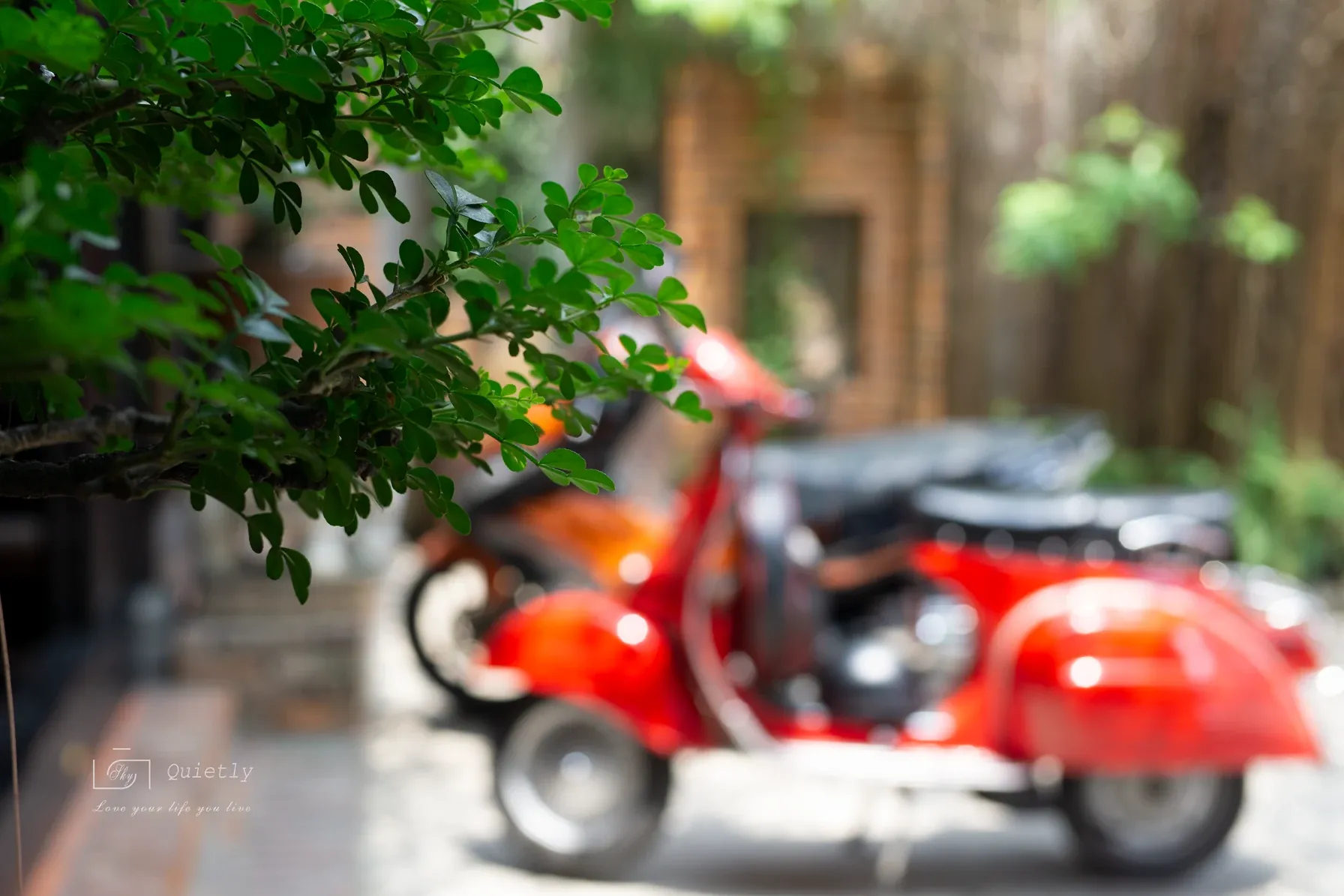 Quán coffee xưa - Vespa Sprint Veloce