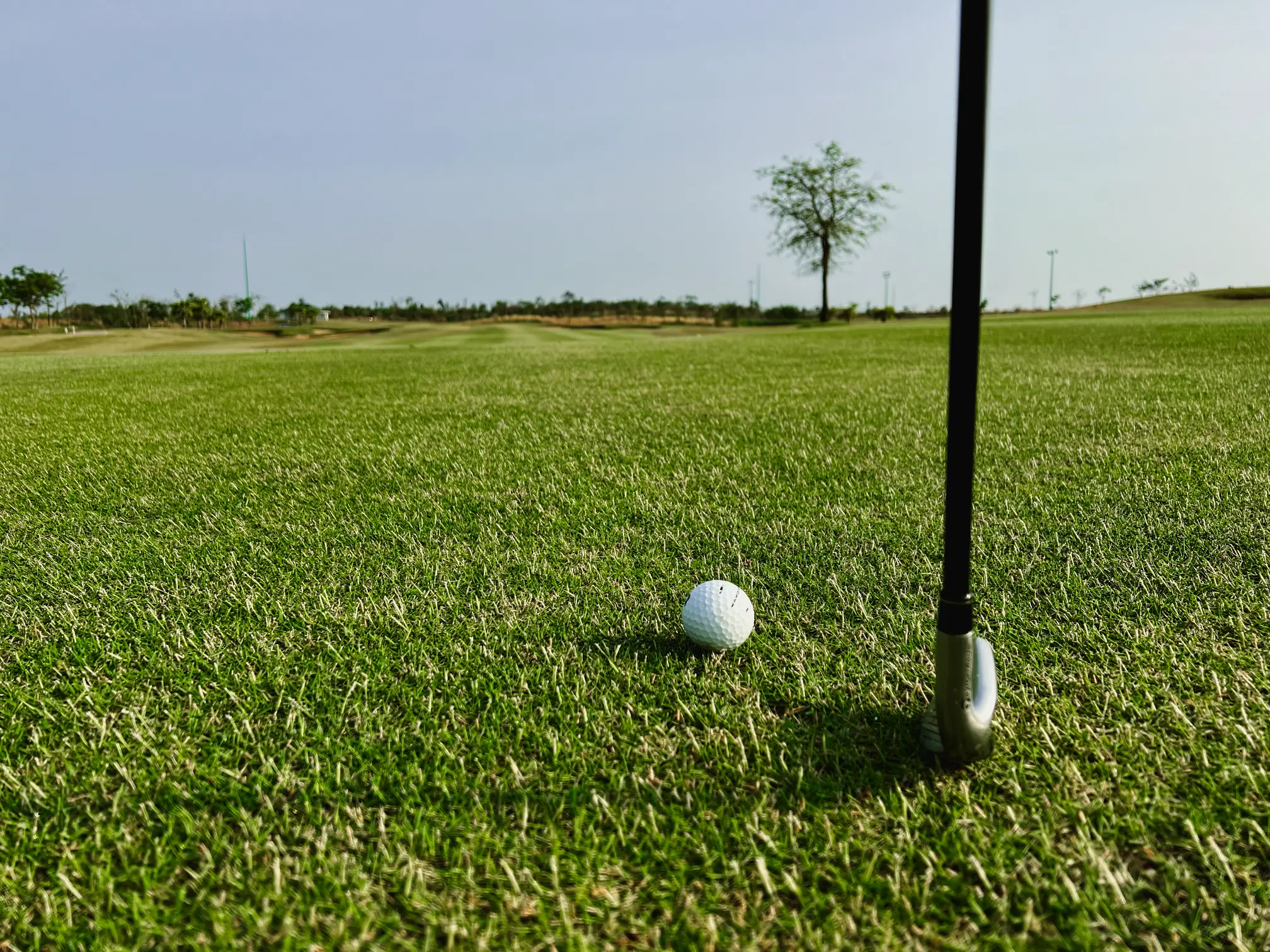 Chơi golf Chơi golf