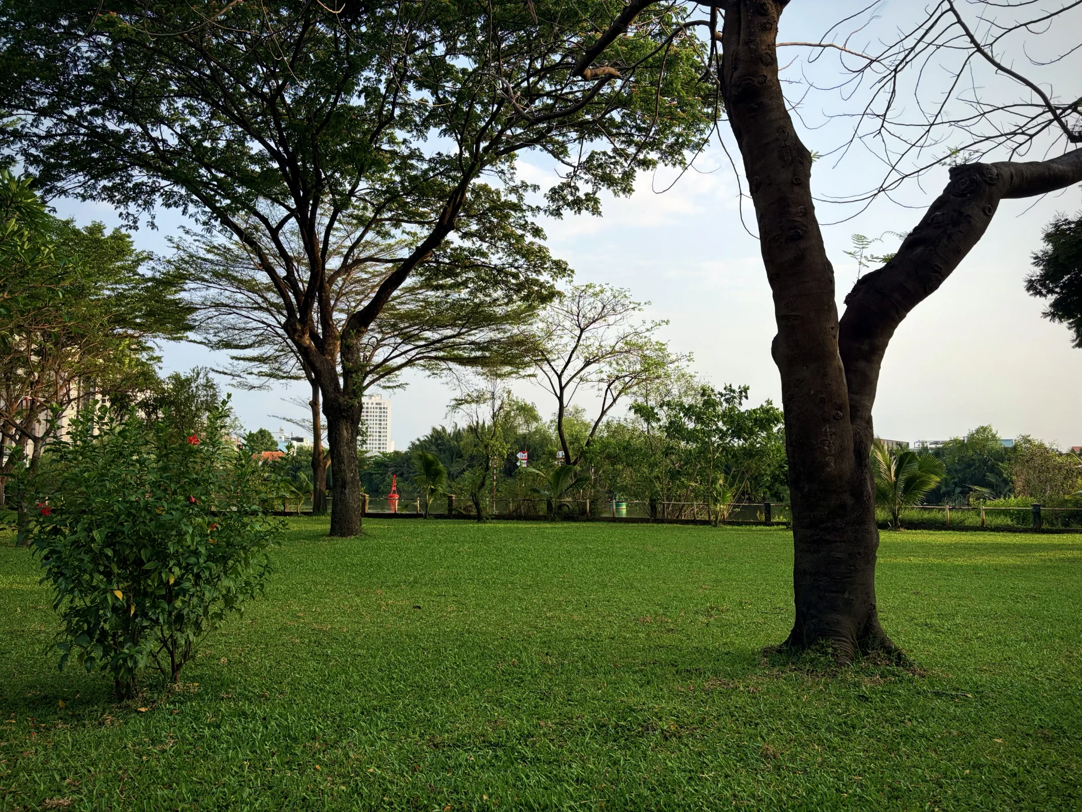 Bãi cỏ khu dân cư ven sông - Tân Phong