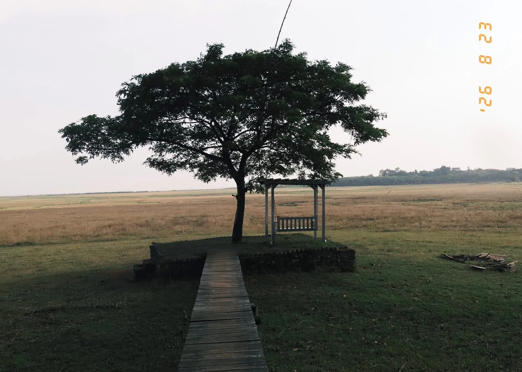 Cây cô đơn - Hồ Trị An