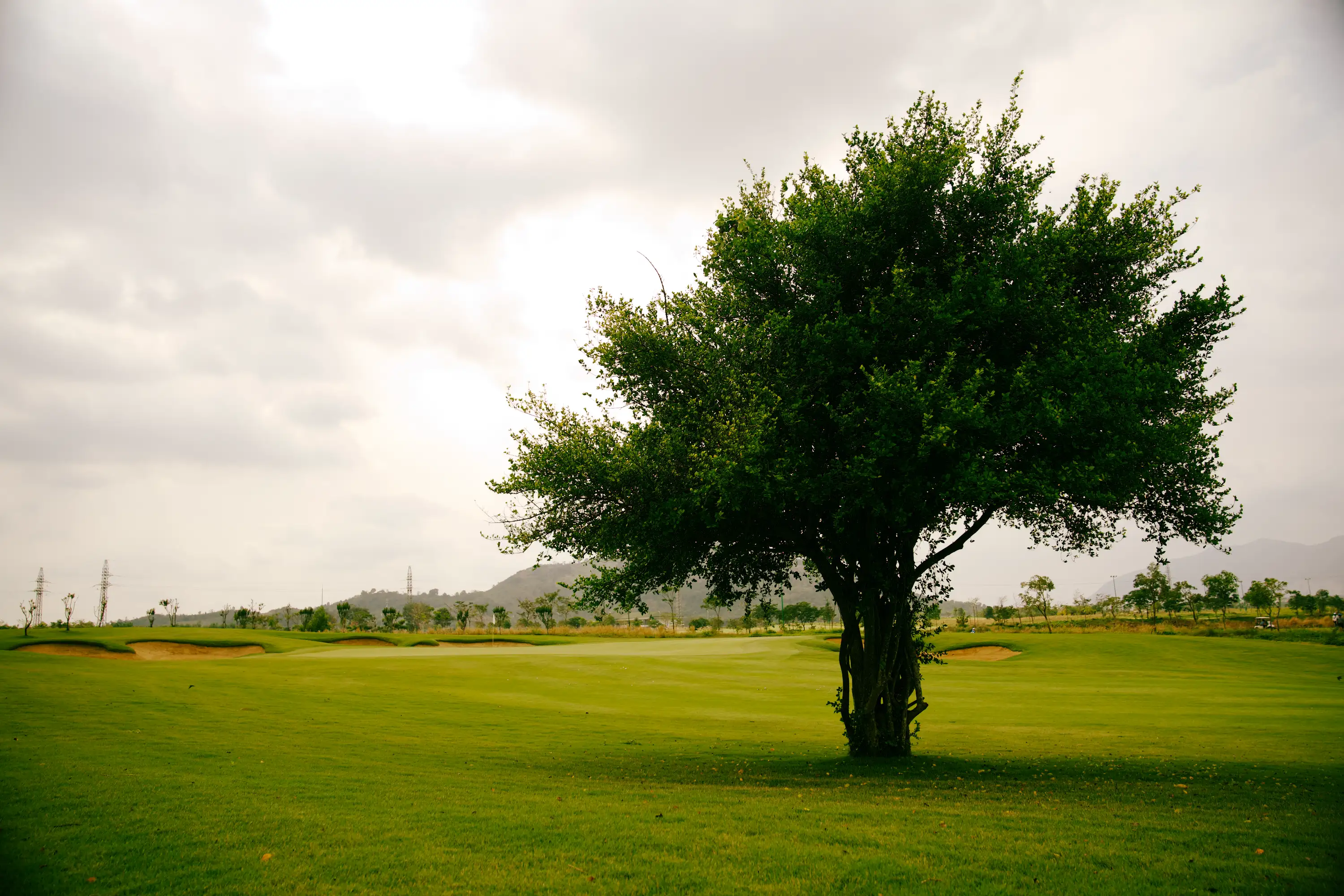 Sân golf Sonadezi - Vũng Tàu - Việt Nam