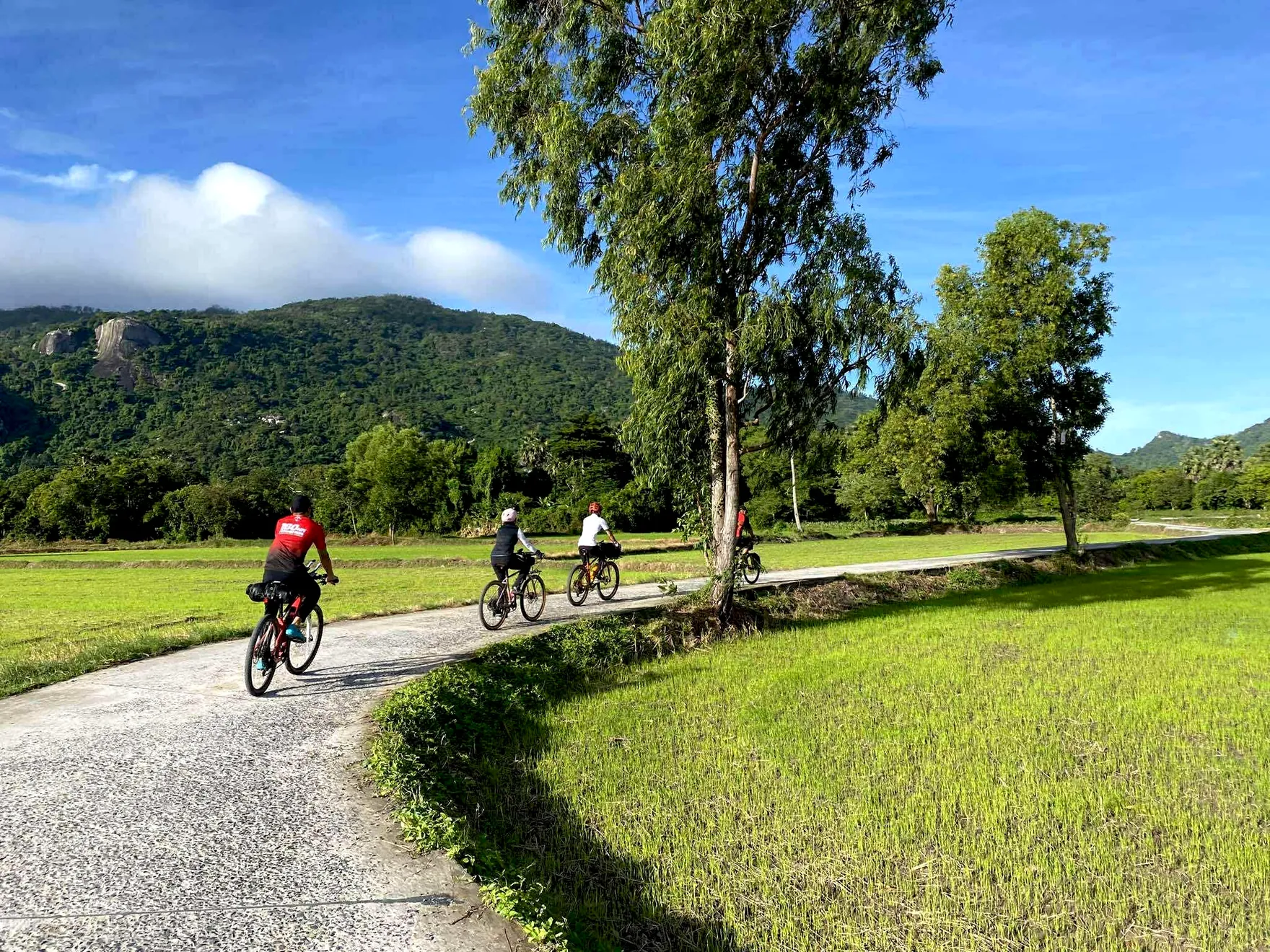 Cánh đồng Tà Pạ - Tri Tôn - An Giang