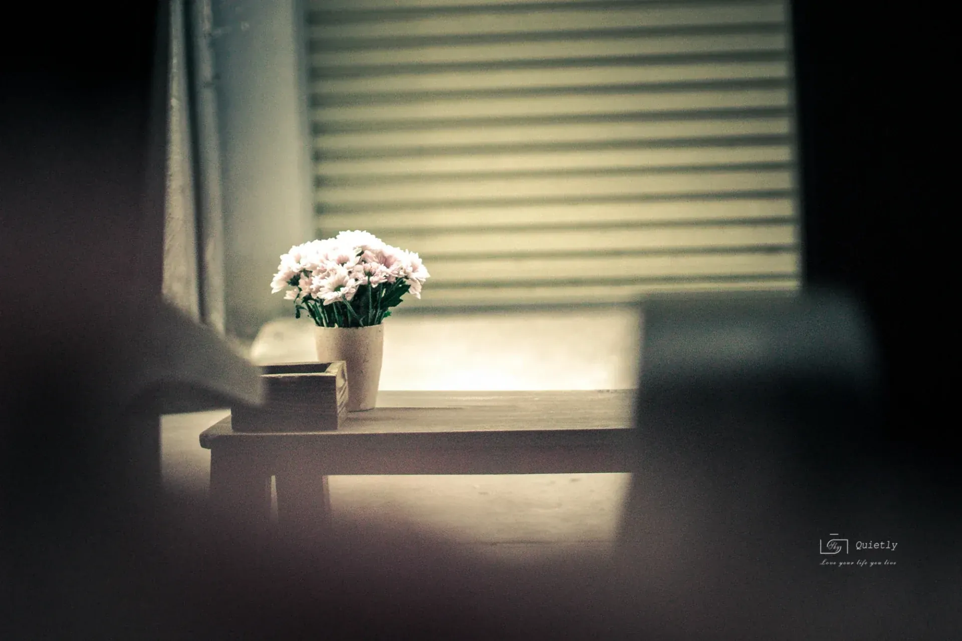 White flowers