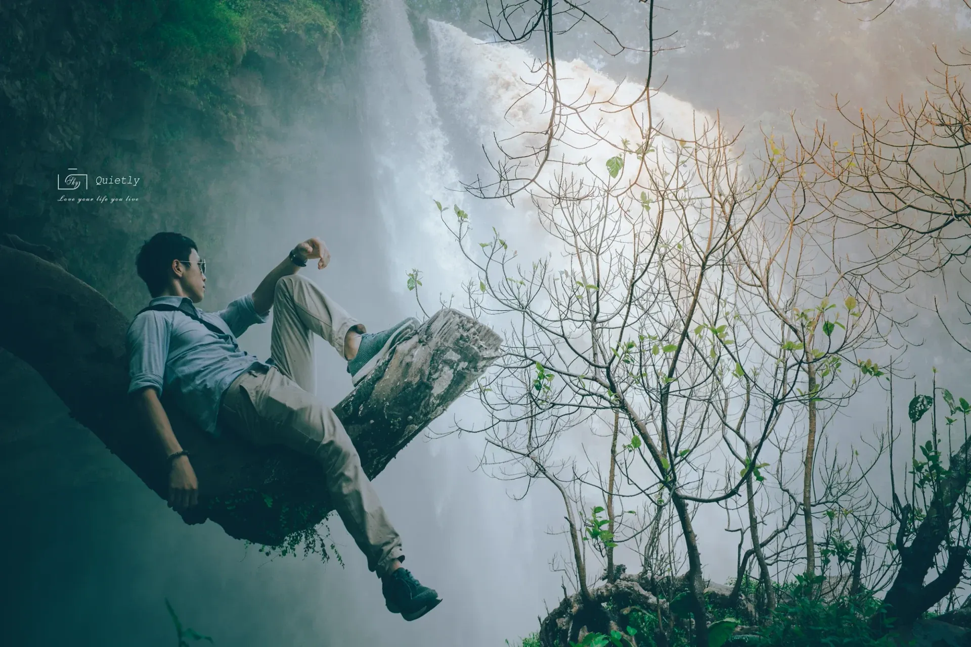 Man in tree